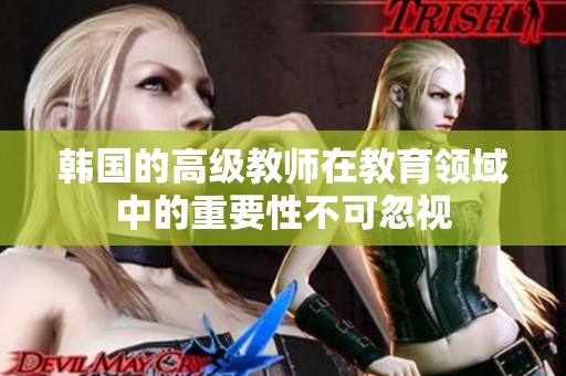 韩国的高级教师在教育领域中的重要性不可忽视