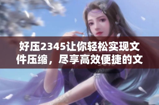好压2345让你轻松实现文件压缩，尽享高效便捷的文件管理体验