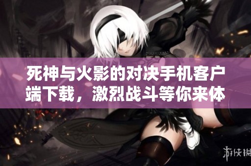 死神与火影的对决手机客户端下载，激烈战斗等你来体验！