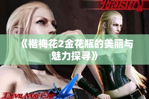 《楷梅花2金花瓶的美丽与魅力探寻》