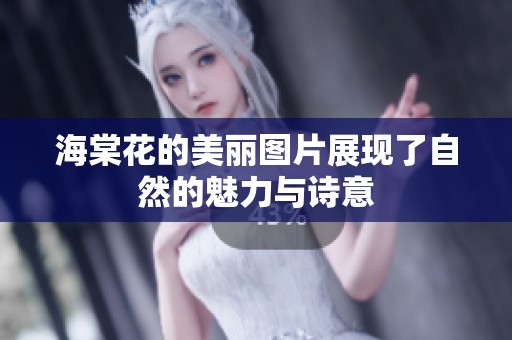海棠花的美丽图片展现了自然的魅力与诗意