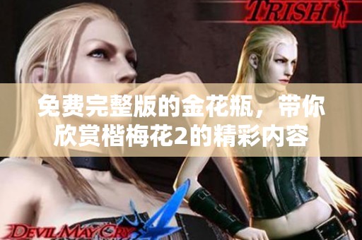 免费完整版的金花瓶，带你欣赏楷梅花2的精彩内容
