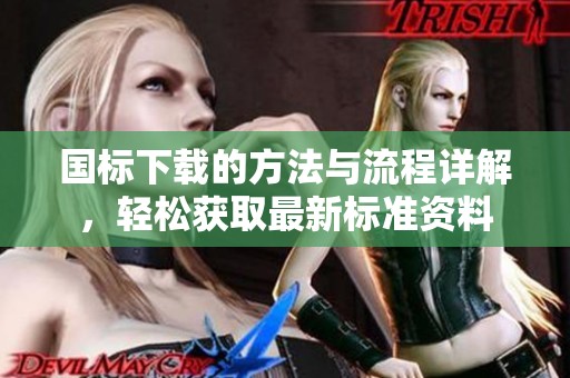 国标下载的方法与流程详解，轻松获取最新标准资料