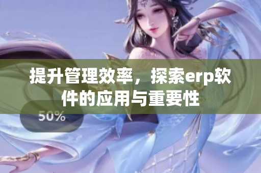 提升管理效率，探索erp软件的应用与重要性