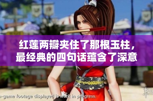 红莲两瓣夹住了那根玉柱，最经典的四句话蕴含了深意