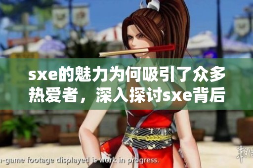 sxe的魅力为何吸引了众多热爱者，深入探讨sxe背后的故事与意义