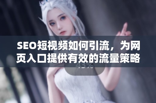 SEO短视频如何引流，为网页入口提供有效的流量策略