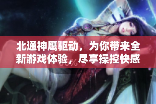 北通神鹰驱动，为你带来全新游戏体验，尽享操控快感！