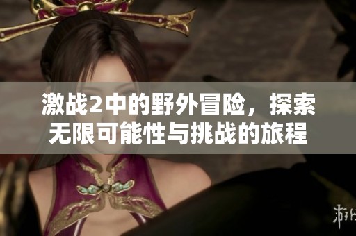 激战2中的野外冒险，探索无限可能性与挑战的旅程