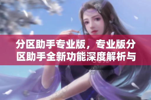 分区助手专业版，专业版分区助手全新功能深度解析与使用体验分享