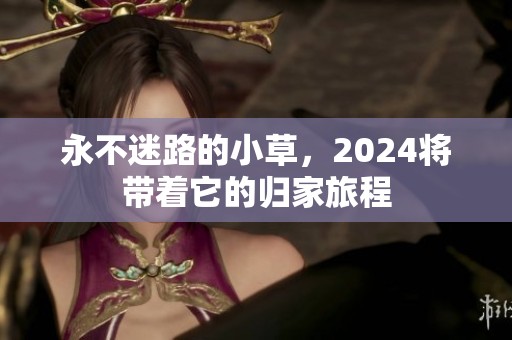 永不迷路的小草，2024将带着它的归家旅程