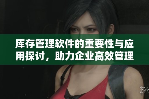 库存管理软件的重要性与应用探讨，助力企业高效管理库存流程