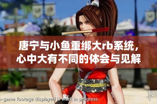 唐宁与小鱼重绑大rb系统，心中大有不同的体会与见解。
