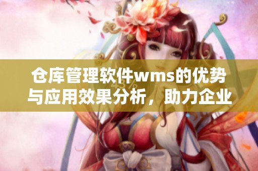 仓库管理软件wms的优势与应用效果分析，助力企业高效物流管理