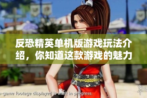 反恐精英单机版游戏玩法介绍，你知道这款游戏的魅力所在吗