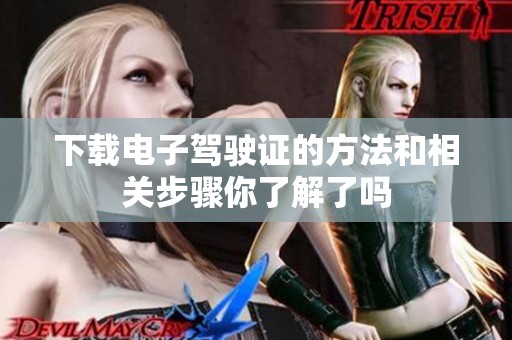 下载电子驾驶证的方法和相关步骤你了解了吗