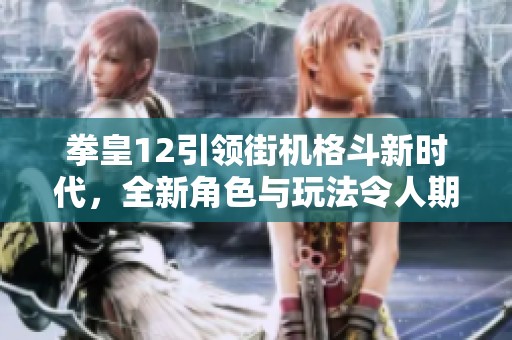 拳皇12引领街机格斗新时代，全新角色与玩法令人期待