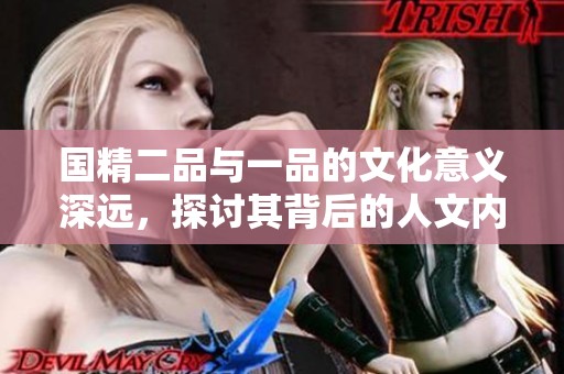 国精二品与一品的文化意义深远，探讨其背后的人文内涵