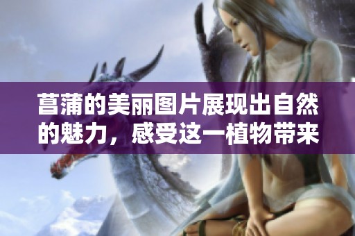 菖蒲的美丽图片展现出自然的魅力，感受这一植物带来的宁静气息