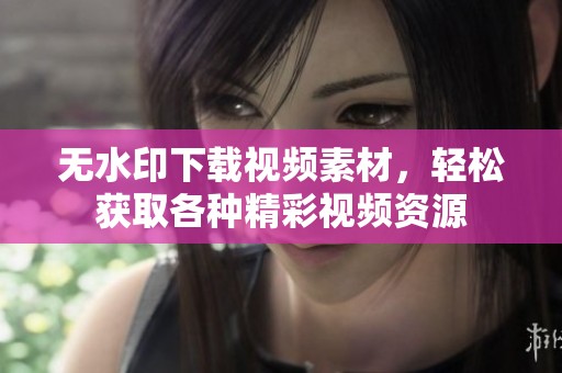 无水印下载视频素材，轻松获取各种精彩视频资源
