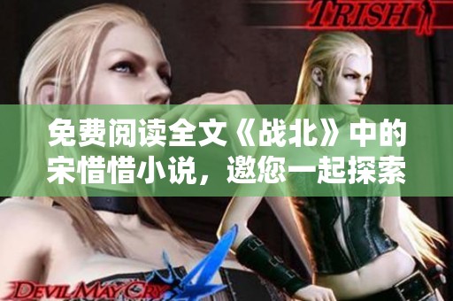 免费阅读全文《战北》中的宋惜惜小说，邀您一起探索她的故事与情感