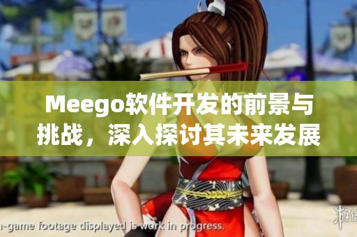 Meego软件开发的前景与挑战，深入探讨其未来发展方向