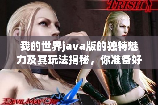 我的世界j**a版的独特魅力及其玩法揭秘，你准备好冒险了吗