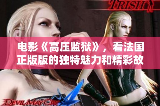 电影《高压监狱》，看法国正版版的独特魅力和精彩故事