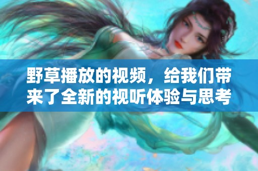 野草播放的视频，给我们带来了全新的视听体验与思考启发