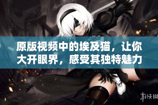 原版视频中的埃及猫，让你大开眼界，感受其独特魅力与优雅姿态。