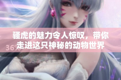 骚虎的魅力令人惊叹，带你走进这只神秘的动物世界