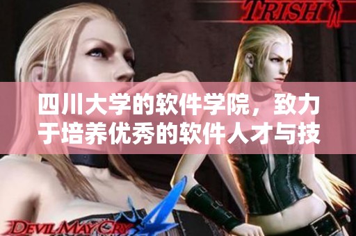 四川大学的软件学院，致力于培养优秀的软件人才与技术创新。