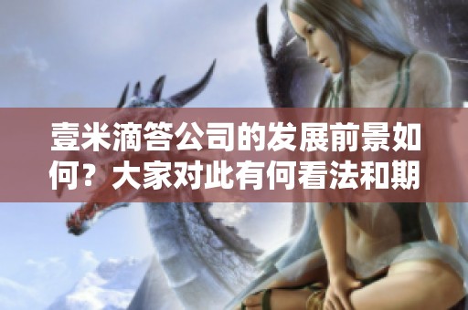 壹米滴答公司的发展前景如何？大家对此有何看法和期待呢？