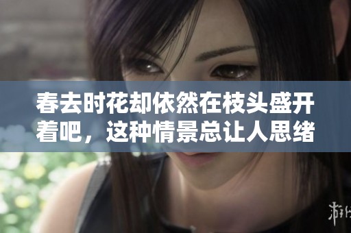 春去时花却依然在枝头盛开着吧，这种情景总让人思绪万千