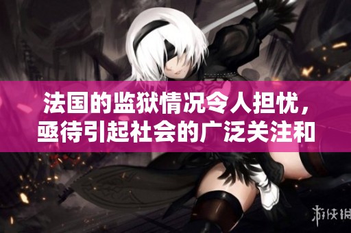 法国的监狱情况令人担忧，亟待引起社会的广泛关注和解决。