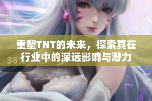 重塑TNT的未来，探索其在行业中的深远影响与潜力