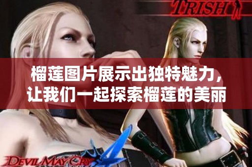 榴莲图片展示出独特魅力，让我们一起探索榴莲的美丽世界
