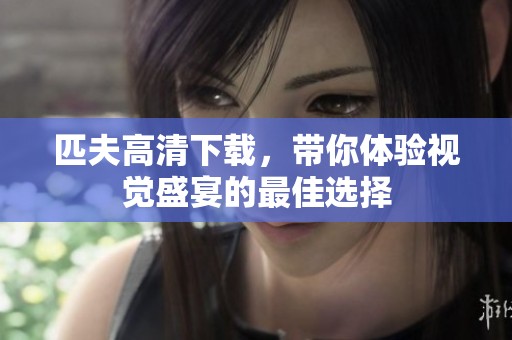 匹夫高清下载，带你体验视觉盛宴的最佳选择
