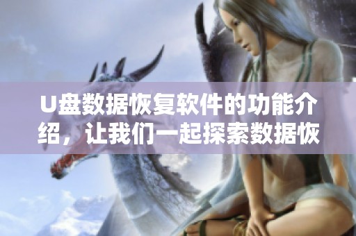 U盘数据恢复软件的功能介绍，让我们一起探索数据恢复的无限可能