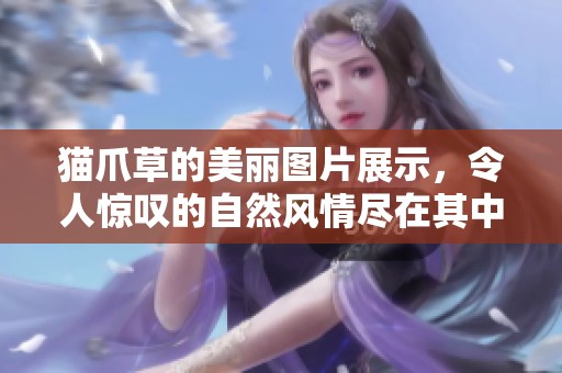 猫爪草的美丽图片展示，令人惊叹的自然风情尽在其中