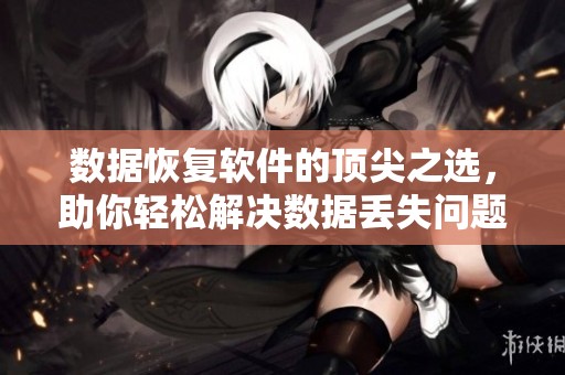 数据恢复软件的顶尖之选，助你轻松解决数据丢失问题