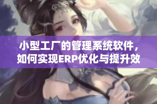 小型工厂的管理系统软件，如何实现ERP优化与提升效率