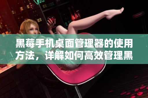 黑莓手机桌面管理器的使用方法，详解如何高效管理黑莓手机数据