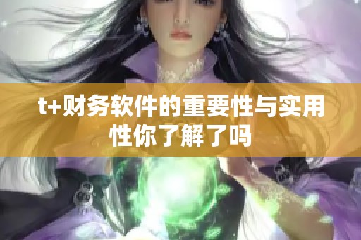 t+财务软件的重要性与实用性你了解了吗