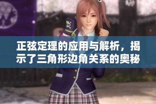 正弦定理的应用与解析，揭示了三角形边角关系的奥秘