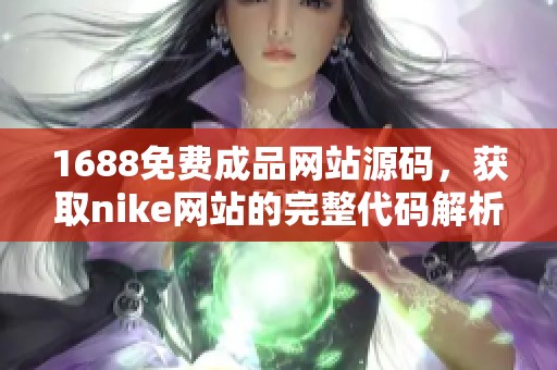 1688免费成品网站源码，获取nike网站的完整代码解析与介绍