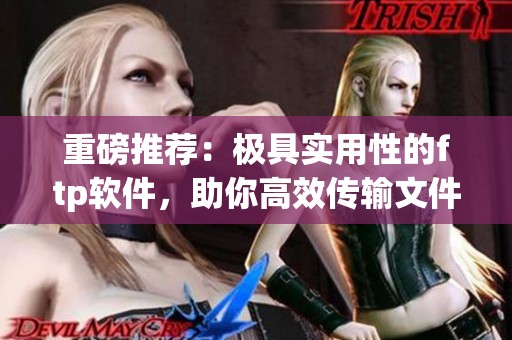 重磅推荐：极具实用性的ftp软件，助你高效传输文件与数据