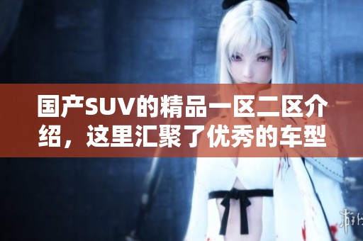 国产SUV的精品一区二区介绍，这里汇聚了优秀的车型选择与品牌魅力。