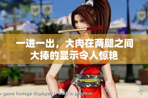 一进一出，大肉在两腿之间大捧的显示令人惊艳