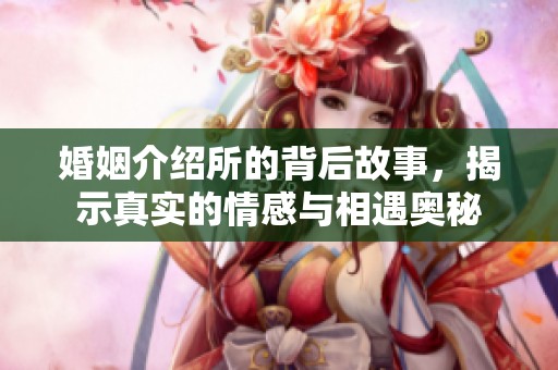 婚姻介绍所的背后故事，揭示真实的情感与相遇奥秘